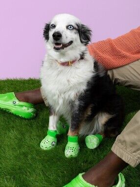 LE Green Slime Glow-in-the-dark Crocs Pet Dog Boots Medium